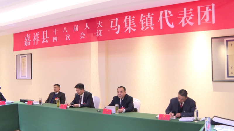 聚焦兩會 | 宮磊參加馬集鎮(zhèn)、疃里鎮(zhèn)、馬村鎮(zhèn)代表團討論審議